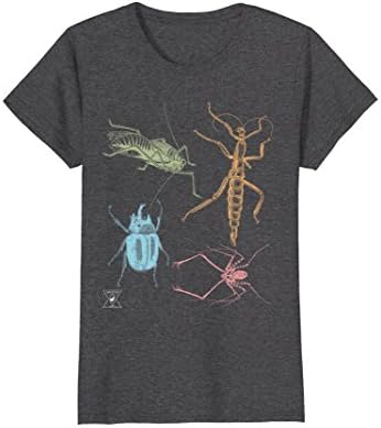 Womens EncycloArt, Insects and Bugs Praying Mantis Beetle, T-Shirt Medium Dark Heather