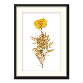 Black Paper Framed Canvas Wall Art for Living Room, Bedroom Simple Beautiful Leaves Canvas Prints for Home Decoration Ready to Hanging - 23x31 inches