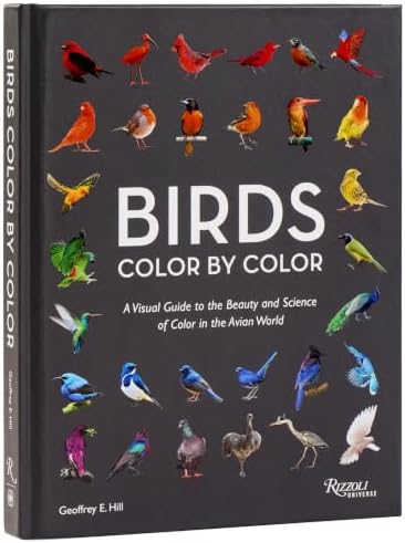 Color and Meaning: Art, Science, and Symbolism: Gage, John