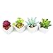 Myartte Home Decor Artificial Shrubs-Set of 4 Different Artificial Succulent Plant for Home Decoration Office Decoration (4A Ceramic Pot)