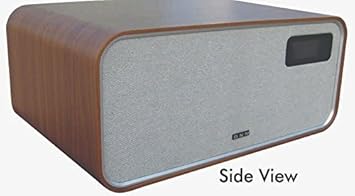 dnm ceiling speakers