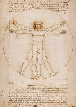 16X20 inch Leonardo Da Vinci Code Canvas Print RePro Vitruvian Man