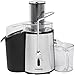 Professional Juicer Machine - 2-Speed 700 Watt Easy Clean, Fruit & Vegetable Extractor, ETL Certified, BPA Free