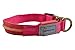 Pet Industries Metal Buckle LED Dog Collar, USB Rechargeable, Available in 7 Colors & 4 Sizes (X-Small [10-13.5