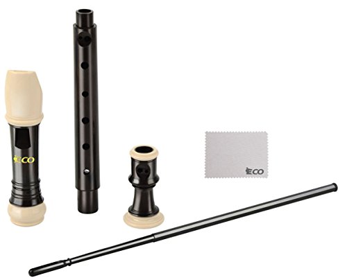 Soprano Recorder â€“ 8 Hole Descant Recorder Instrument with Cleaning Rod, Case, Learning Instruction, Key of C