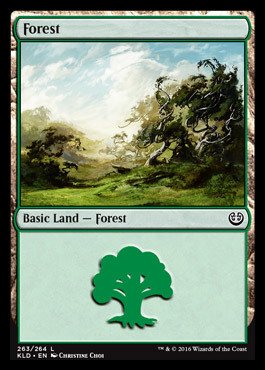 Magic: the Gathering - Forest (263/264) - Kaladesh - Foil