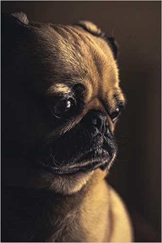 Sad Puppy Diary A Cute Sad Puppy Face Journal To Write In Acequia Publications 9781070855271 Amazon Com Books