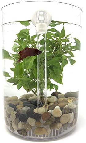 NoClean Aquariums - 1-Gallon Self-Cleaning Betta Aquarium Fishbowl
