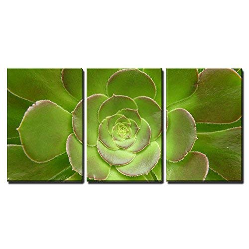 a Green Cacti Flower Home Art x3 Panels