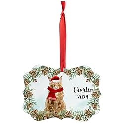 Red Maine Coon Cat Christmas Ornament 2024