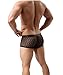 Men's Sexy Mesh Sheer Boxer Briefs Underwear Black Trunks Underpants