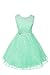 JM DREAMLINE Lovely Tulle Pleated Lace Flower Girl Dress