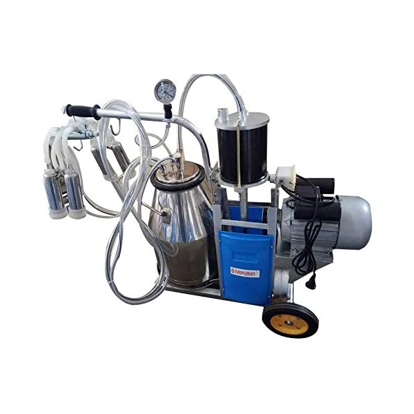 ZHHB-Mungitore-Elettrico-25L-Mungitrice-da-10-12-Mucche-Allora-con-Kit-Set-Barilotto-Serbatoio-Serbatoio-Secchio-Singolo-Secchio-Mungitore-in-Acciaio-Inox ZHHB Mungitore Elettrico 25L, Mungitrice da 10-12 Mucche All'ora con Kit Set Barilotto Serbatoio Serbatoio Secchio…