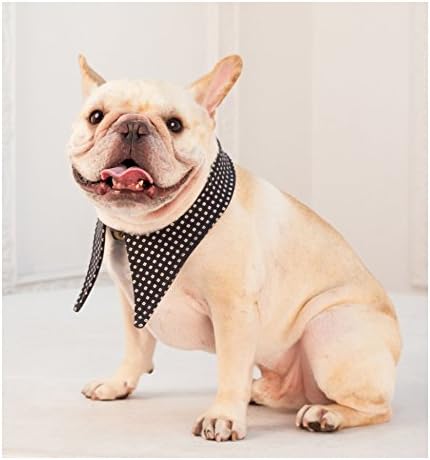 Frenchie Handmade Pet Clothing British style Reversible Detachable Fake Collar