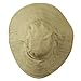 Big Size Ladies Linen Wide Brim Hat - Khaki (For Big Head)