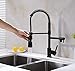 Avola Kitchen Faucet,Black Kitchen Faucet