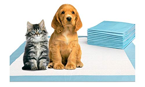 PETSWORLD Absorbent Pet Training Pads, 600 Ct, 17x24