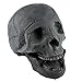 Myard Fireproof Imitated Human Fire Pit Skull Gas Log for NG, LP Wood Fireplace, Firepit, Campfire, Halloween Decor, BBQ (Qty 1, Black)
