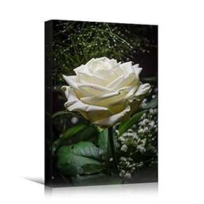 signwin Canvas Wall Art White Petal Close Up...