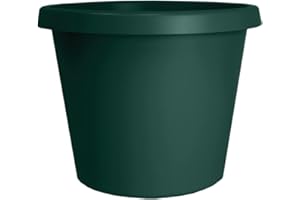 The HC Companies 12 Inch Round Prima Planter - Plastic Plant Pot with Rolled Rim for Indoor Outdoor Plants Flowers Herbs, Evergreen