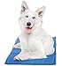 The Green Pet Shop Chillz Gel Mat, Extra Large - Pressure-Activated Cooling Pad for Pets Over 50 lbs - Non-Toxic, No Water or Refrigeration Needed - Ideal for Home, Travel & Crates