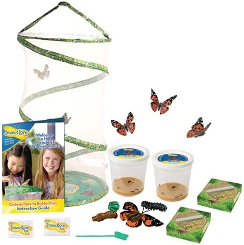 Insect Lore Giant Butterfly Garden with Caterpillars & Lifecycle Stages