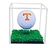Better Display Cases Clear Acrylic Golf Ball Display Case with Turf Base (A046-CTB)