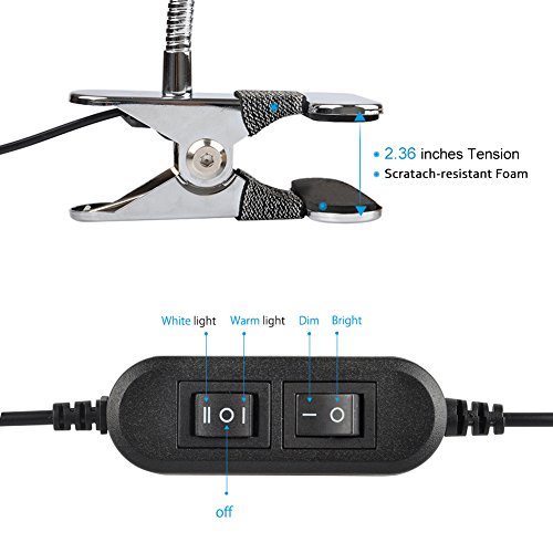 LEPOWER Clip on Light / Clip on Lamp/ Light Color Changeable/ Night Light Clip on for Desk, Bed Headboard and Computers (Silver)