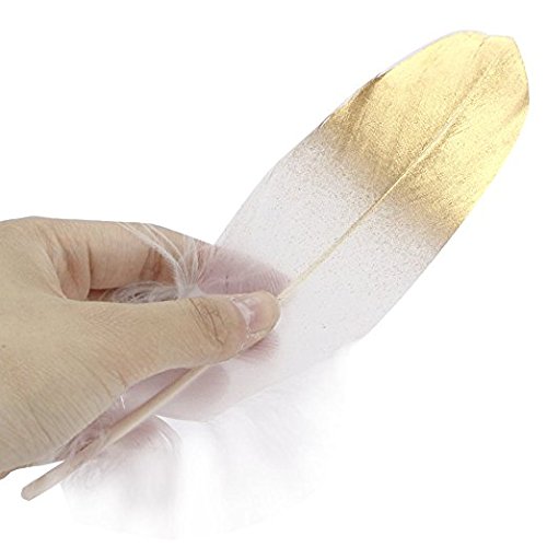 Shindel Gold Dipped Feathers, Natural Feathers Natural Pure White Gold Dipped Feathers for Craft Table Centerpiece Cupcake Decor Baby Shower Decorations, 60 PCS