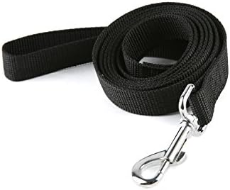 Strong Nylon Dog Leash, for Medium Large Dogs Walking, Training or Exploring, 10 feet Long 1 inch Wide