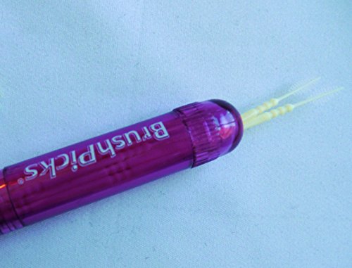 The Doctor's BrushPicks Interdental Toothpicks | Helps Fight Gingivitis | Refillable Keychain Dispenser | 15 Picks