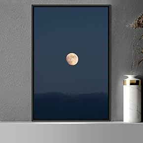 signwin Framed Canvas Wall Art Moon Astronomy &...