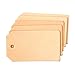 SLC's Natural Vegetable Tanned Leather Tag (25pk)