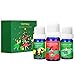 Homasy Aromatherapy Essential Oils Christmas Limited-edition Gift Set, 100% Pure Premium Therapeutic Grade Oils Kit, cedarwood, frankincense, cinnamon leaf (3 Bottles) primary