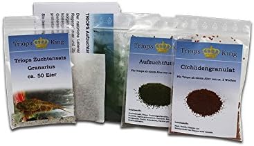 Triops Granarius Tadpole Shrimp Starter Kit Ultra 500 eggs