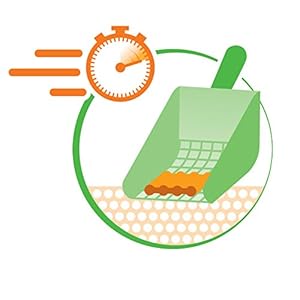 Almo, lettiera per gatti