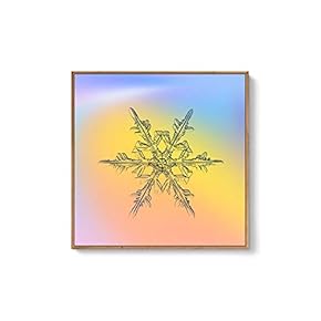 Framed Canvas Wall Art for Living Room, Bedroom Snowflake Theme Canvas Prints for Home Decoration Ready to Hang - 16x16 inches