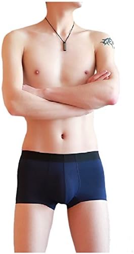 SportsX Mens Full-Cut Ice Silk Breathable Seamless Comfy Fitness Briefs