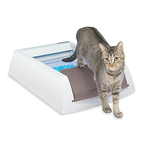 PetSafe ScoopFree Original Taupe Uncovered Self Cleaning Cat Litter Box