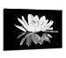 Flower Canvas Prints Art for Bedroom Lotus Flower Pictures Prints Black and White Floral Bloom Blossom Close Up Pictures Prints on Canvas Wall Decoration for Bedroom Framed