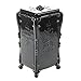 TOOGOO(R) Organizer Storage Box Case Holder for Cosmetic Makeup Tools Cotton Pad