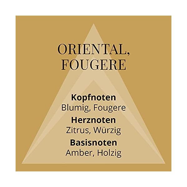 Colour-Me-Gold-Homme-Fragrance-for-Men-150ml-Body-Spray-by-Milton-Lloyd COLOUR ME Gold Homme 150ml Body Spray Perfume for Men. Luxury Fragrance - Mens Aftershave, Long Lasting Fragrance for…