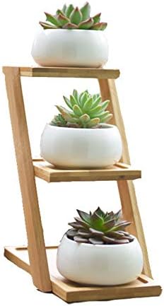 SCAU White Ceramic Modern Decorative Small Round Succulent Plant Pot Small Cactus and Herbs with 3 Tier Bamboo Saucers Stand Holde