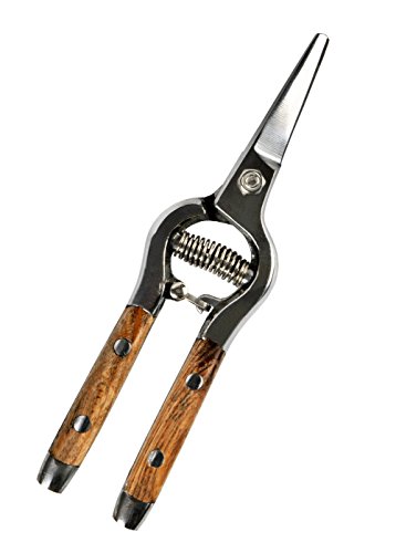 Gardtech 8″ Stainless Steel Straight Snips Pruning Shears Garden Sharp Scissors Bypass Pruner (8″, Straight Snips)