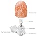 TORCHSTAR Himalayan Salt Night Light Plug-in with 8 Replacement Bulbs, ETL Certified, Natural Crystal Rock Salt Lamps Himalayan, Small Hand Carved Night Light, Light Gifts, Pack of 4