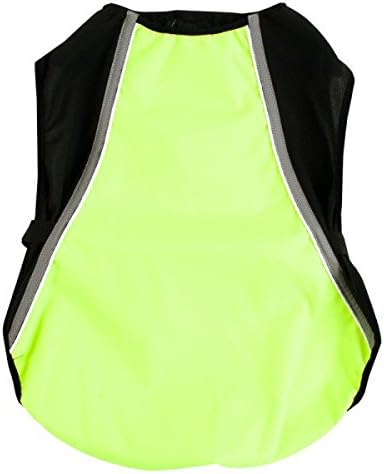 german shorthaired pointer with cats