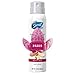 Secret Destinations Paris Romantic Rose Women's Body Spray 3.75 Ounce, Packaging May Vary