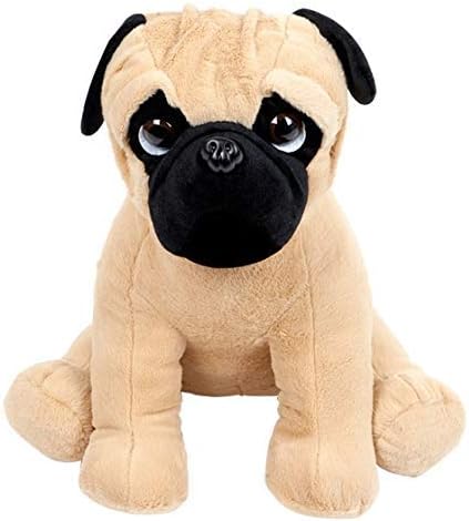 pug teddy