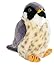 Peregrine Falcon - Audubon Plush Bird (Authentic Bird Sound)