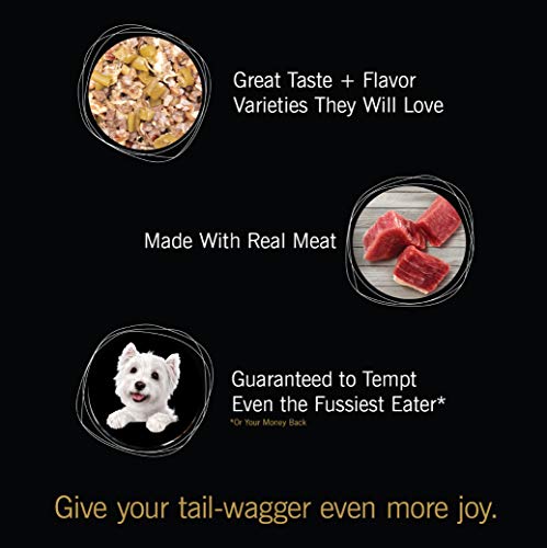 CESAR SIMPLY CRAFTED Dog Food Topper Variety Pack - Image 6